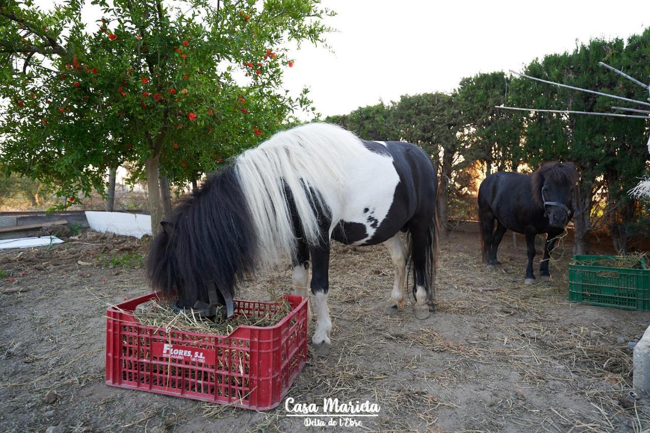 La Casa De Marieta "B" Βίλα Deltebre Εξωτερικό φωτογραφία